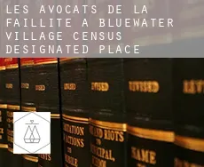 Les avocats de la faillite à Bluewater Village
