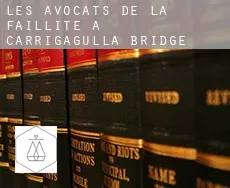 Les avocats de la faillite à  Carrigagulla Bridge