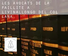 Les avocats de la faillite à  Livinallongo del Col di Lana