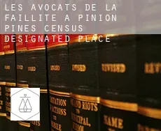 Les avocats de la faillite à  Pinion Pines