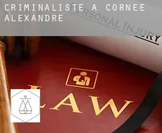 Criminaliste à Cornée-Alexandre