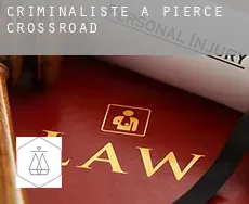 Criminaliste à Pierce Crossroad