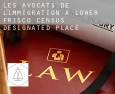 Les avocats de l'immigration à  Lower Frisco