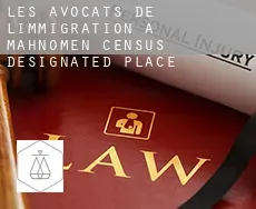 Les avocats de l'immigration à  Mahnomen