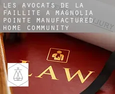 Les avocats de la faillite à  Magnolia Pointe Manufactured Home Community