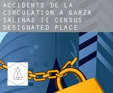 Accidents de la circulation à  Garza-Salinas II
