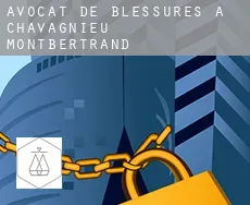 Avocat de blessures à  Chavagnieu-Montbertrand