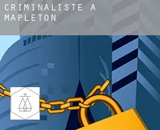 Criminaliste à  Mapleton