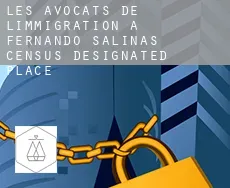 Les avocats de l'immigration à Fernando Salinas
