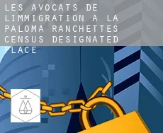 Les avocats de l'immigration à  La Paloma Ranchettes