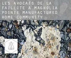 Les avocats de la faillite à  Magnolia Pointe Manufactured Home Community