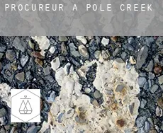 Procureur à  Pole Creek