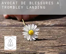 Avocat de blessures à Trombley Landing
