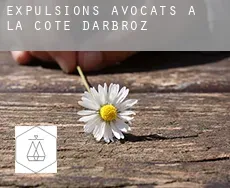 Expulsions avocats à  La Côte-d'Arbroz