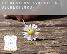 Expulsions avocats à Uschertsgrün