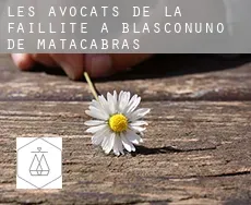 Les avocats de la faillite à Blasconuño de Matacabras