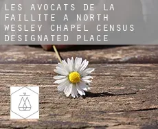 Les avocats de la faillite à  North Wesley Chapel