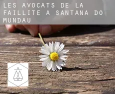Les avocats de la faillite à  Santana do Mundaú