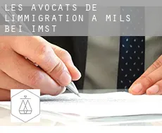 Les avocats de l'immigration à  Mils bei Imst