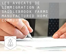 Les avocats de l'immigration à Saddlebrook Farms Manufactured Home Community