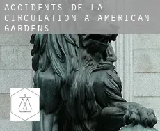 Accidents de la circulation à  American Gardens