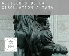 Accidents de la circulation à  Tama