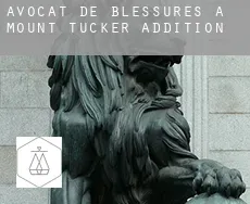 Avocat de blessures à  Mount Tucker Addition