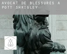 Avocat de blessures à  Pott Shrigley