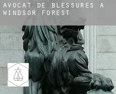 Avocat de blessures à Windsor Forest