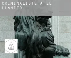 Criminaliste à  El Llanito