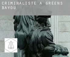 Criminaliste à  Greens Bayou