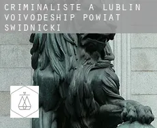 Criminaliste à Powiat świdnicki (Lublin Voivodeship)