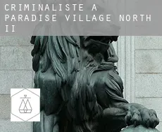 Criminaliste à  Paradise Village North II
