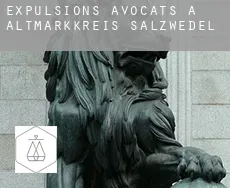 Expulsions avocats à  Altmarkkreis Salzwedel