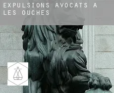 Expulsions avocats à  Les Ouches
