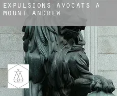Expulsions avocats à  Mount Andrew