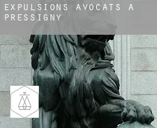 Expulsions avocats à  Pressigny