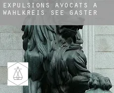Expulsions avocats à Wahlkreis See-Gaster