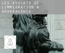 Les avocats de l'immigration à  Großkrausnik