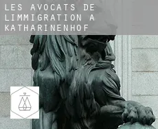 Les avocats de l'immigration à  Katharinenhof