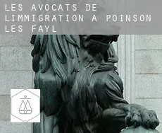 Les avocats de l'immigration à Poinson-lès-Fayl
