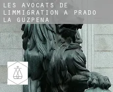 Les avocats de l'immigration à  Prado de la Guzpeña