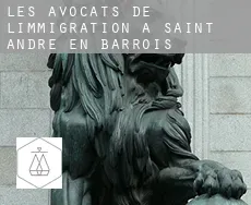 Les avocats de l'immigration à  Saint-André-en-Barrois