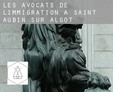 Les avocats de l'immigration à  Saint-Aubin-sur-Algot