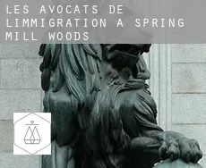 Les avocats de l'immigration à  Spring Mill Woods