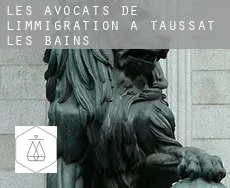 Les avocats de l'immigration à Taussat-les-Bains