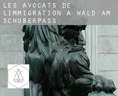 Les avocats de l'immigration à Wald am Schoberpaß