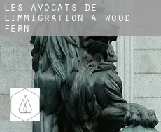 Les avocats de l'immigration à  Wood Fern