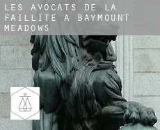 Les avocats de la faillite à  Baymount Meadows