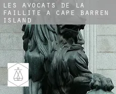 Les avocats de la faillite à  Cape Barren Island